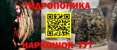 сатива Краснокаменск