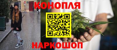 сатива Краснокаменск